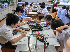 小さな社会でのルールを学んでいます