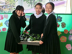 小さな社会でのルールを学んでいます
