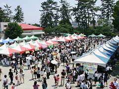 青葉祭