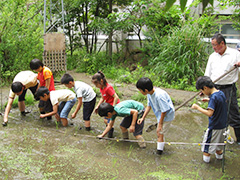 学級農園